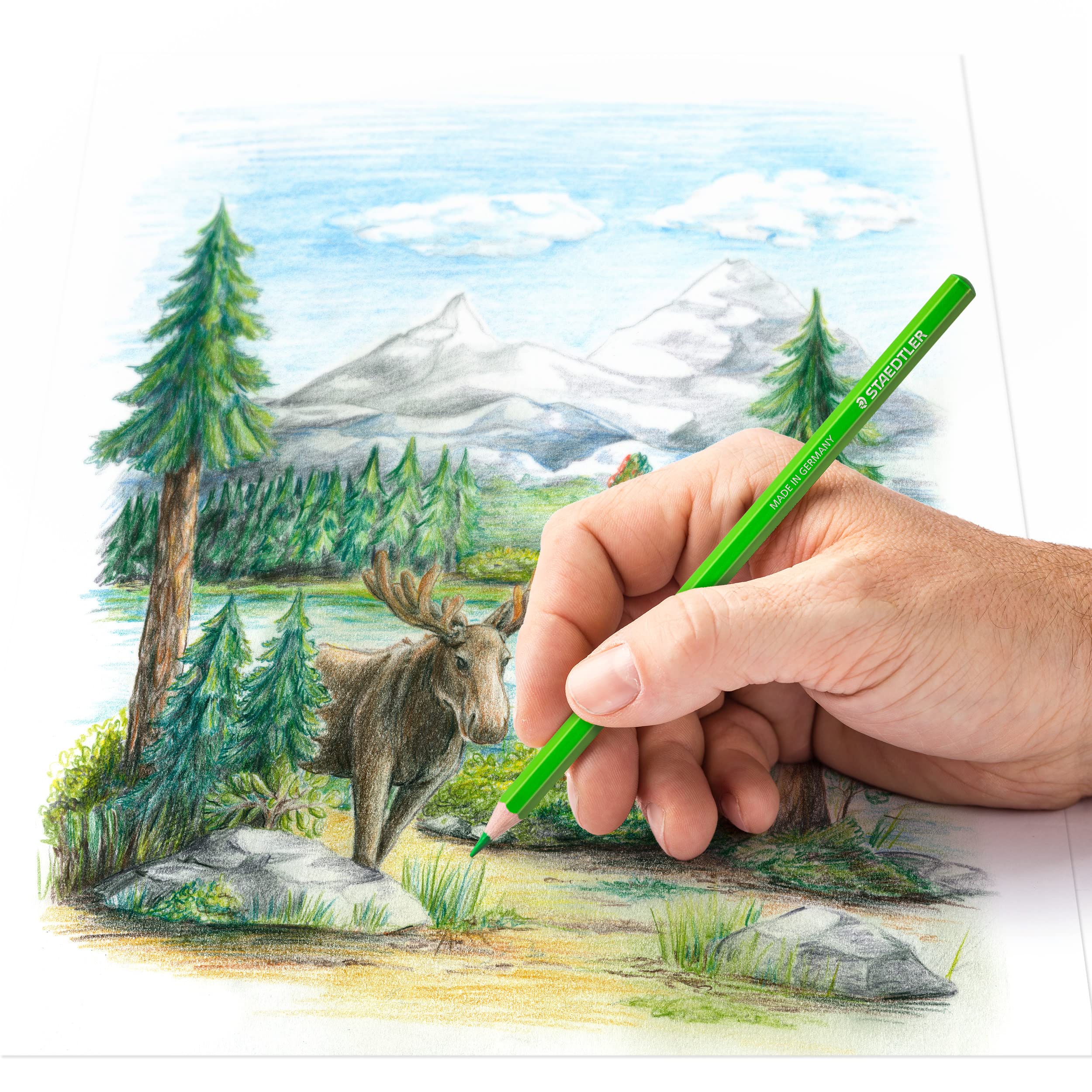 staedtler-146-c-design-journey-astuccio-12-matite-colorate-assortite image 4