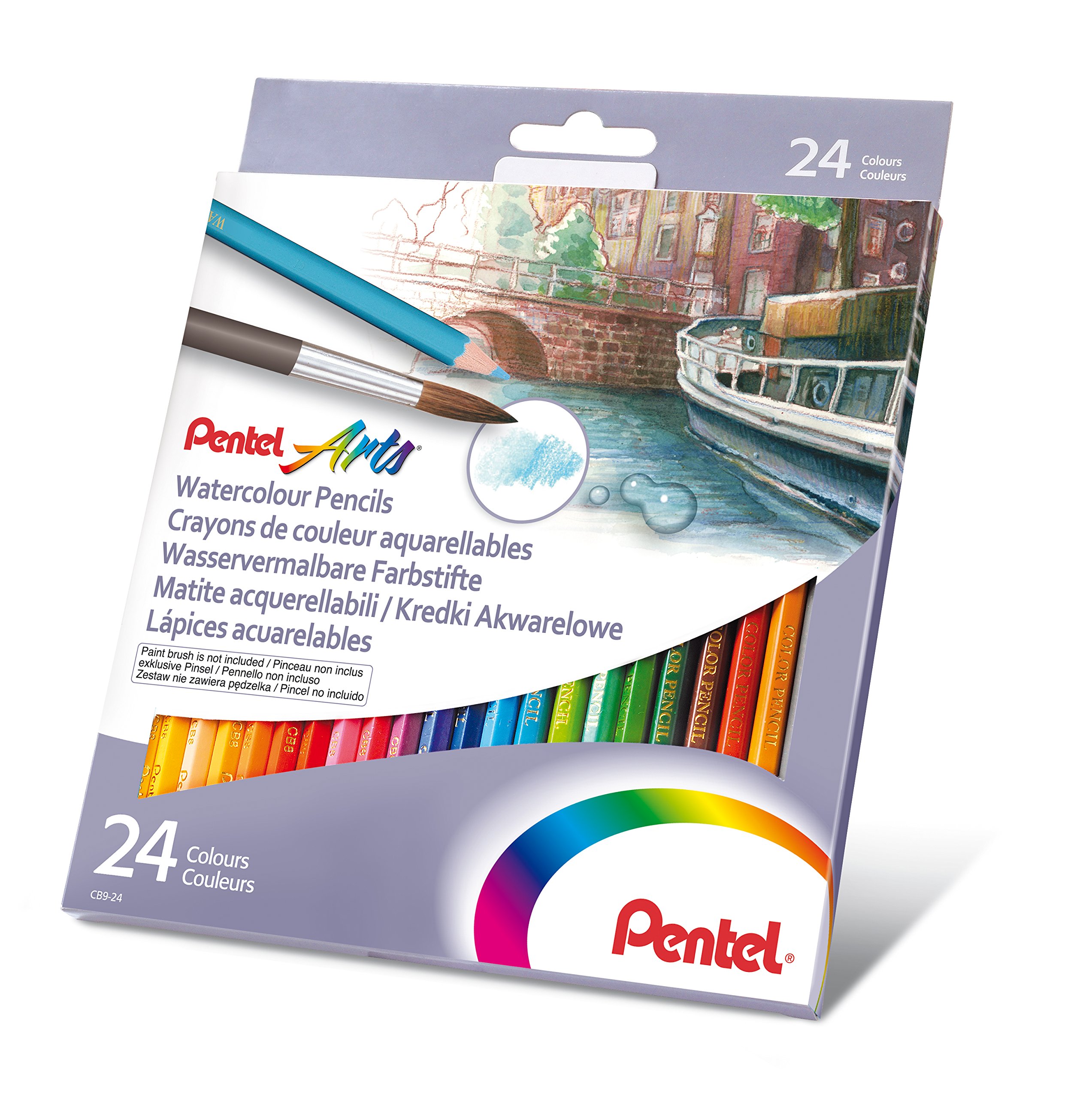 pentel-cb9-matite-colorate-acquerellabili-12-pezzi-2-9-mm image 6