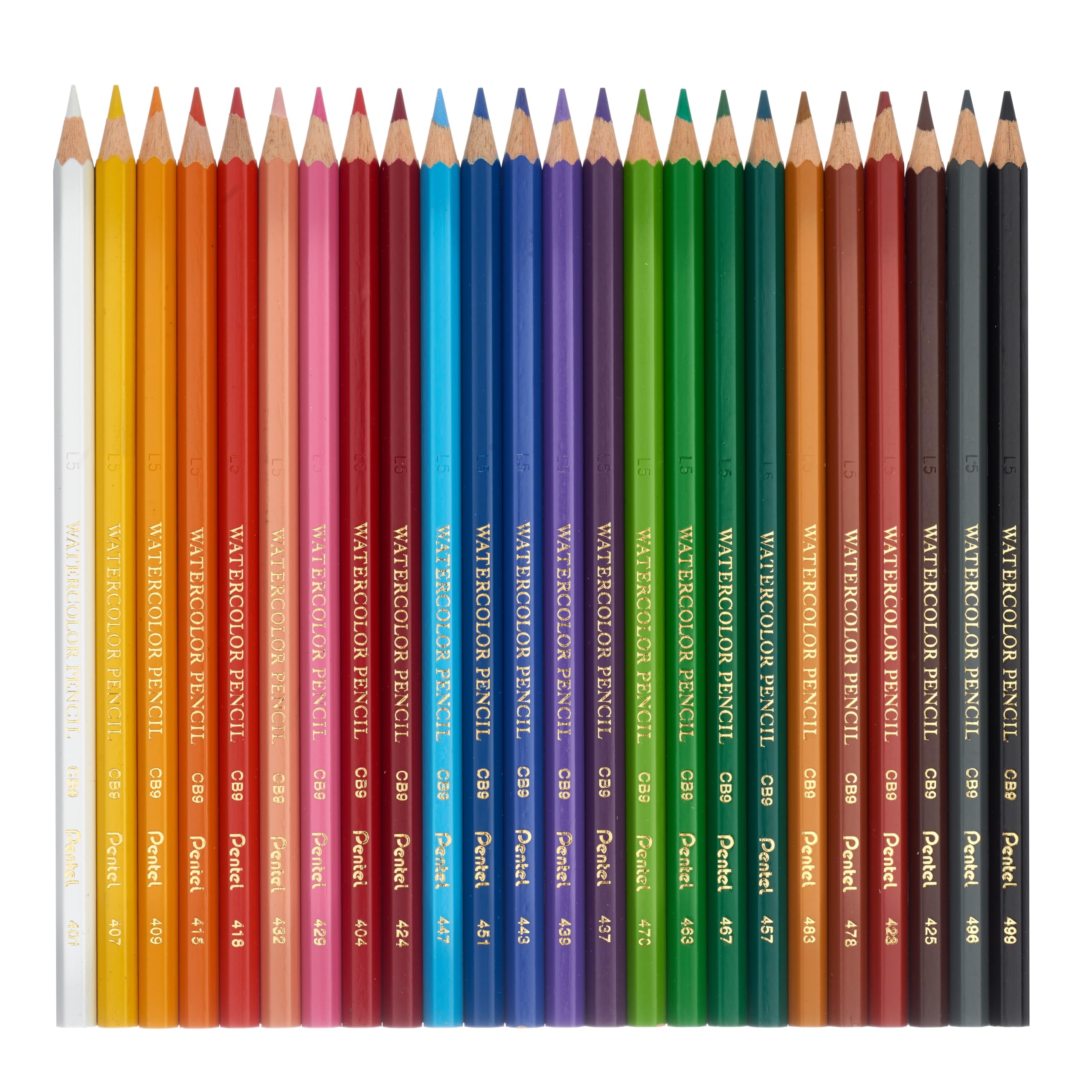 pentel-cb9-matite-colorate-acquerellabili-12-pezzi-2-9-mm image 5