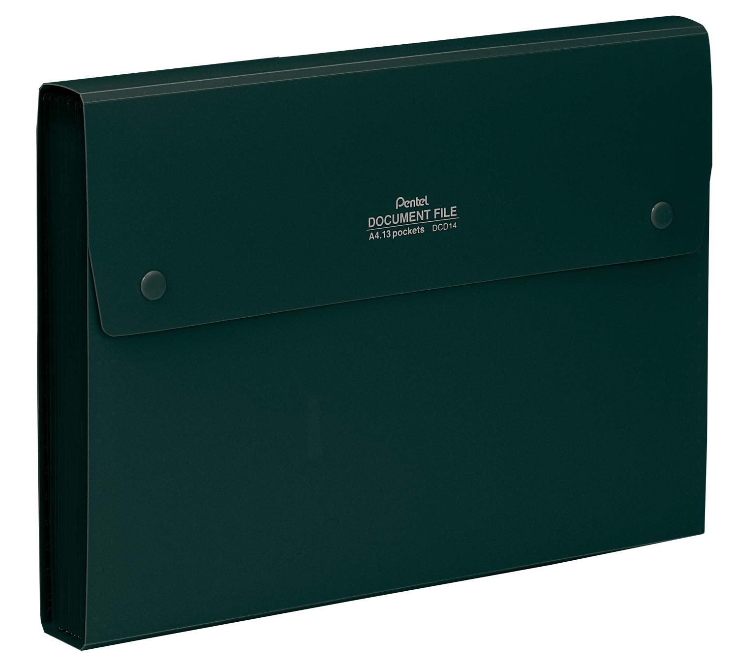 pentel-recycology-dcd14-portadocumenti-a4-nero-13-scomparti image 2