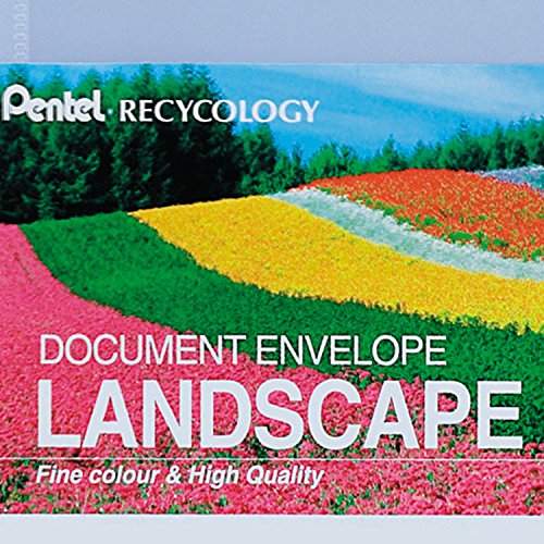 pentel-recycology-dcf243-portalistino-a4-verde-30-buste image 7