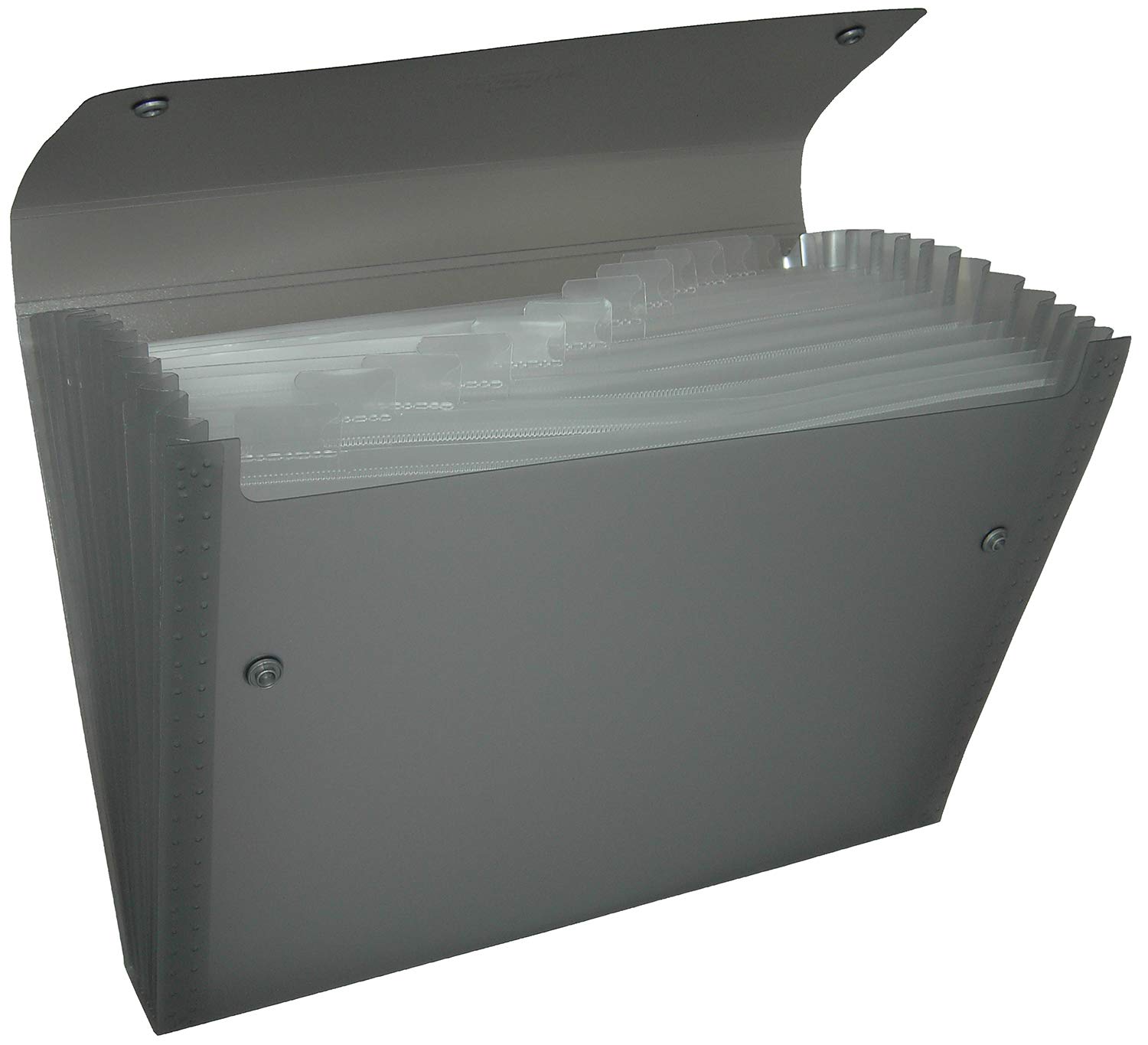 pentel-recycology-dcd14-portadocumenti-a4-nero-13-scomparti image 1