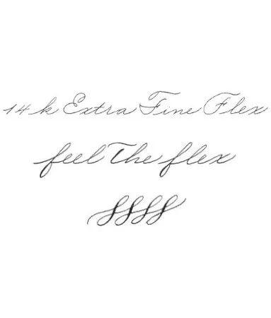 scribo-pennino-flessibile-extra-fine-14kt-oro-giallo image 1