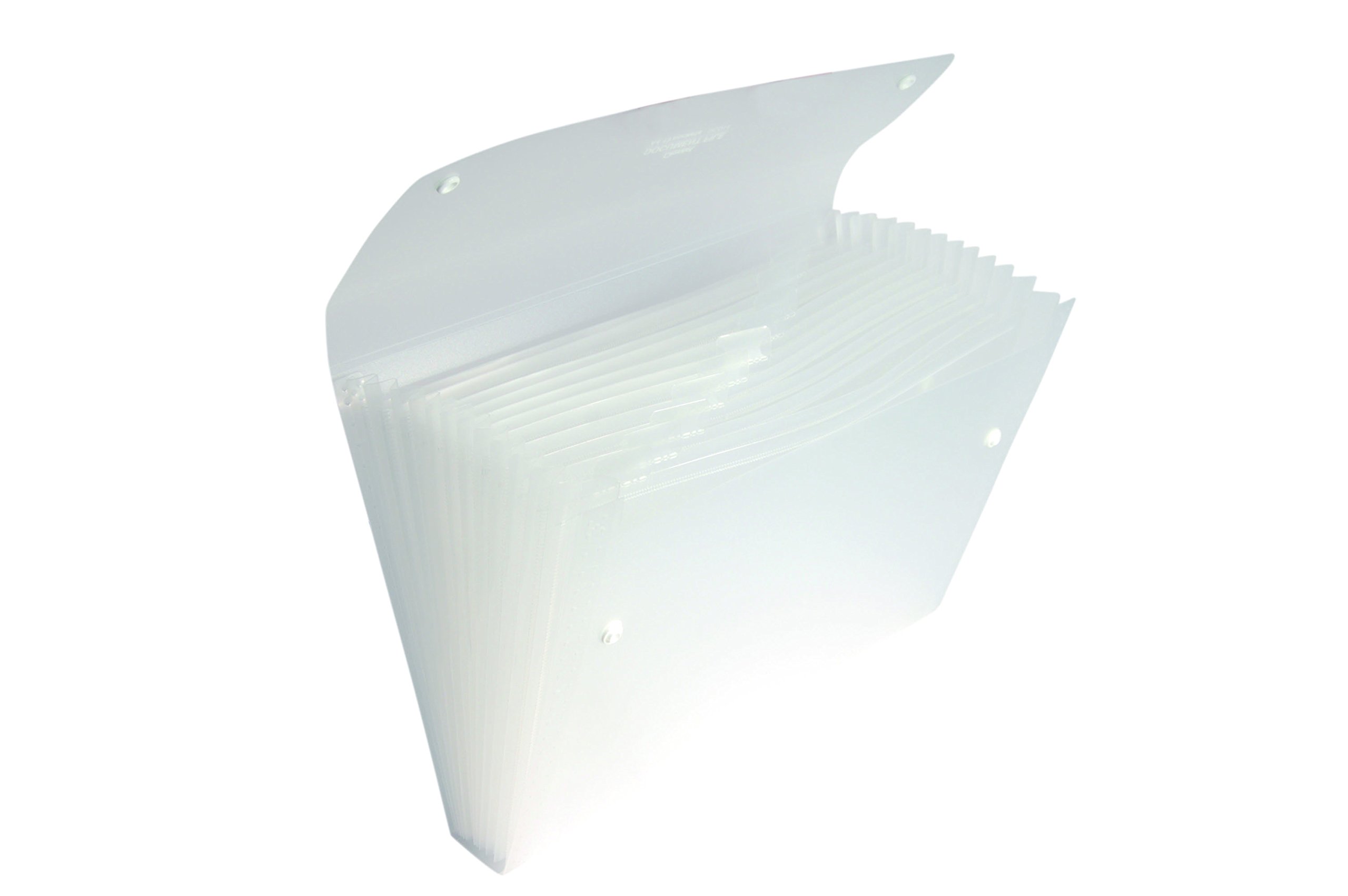 pentel-recycology-dcd14-portadocumenti-a4-nero-13-scomparti image 6