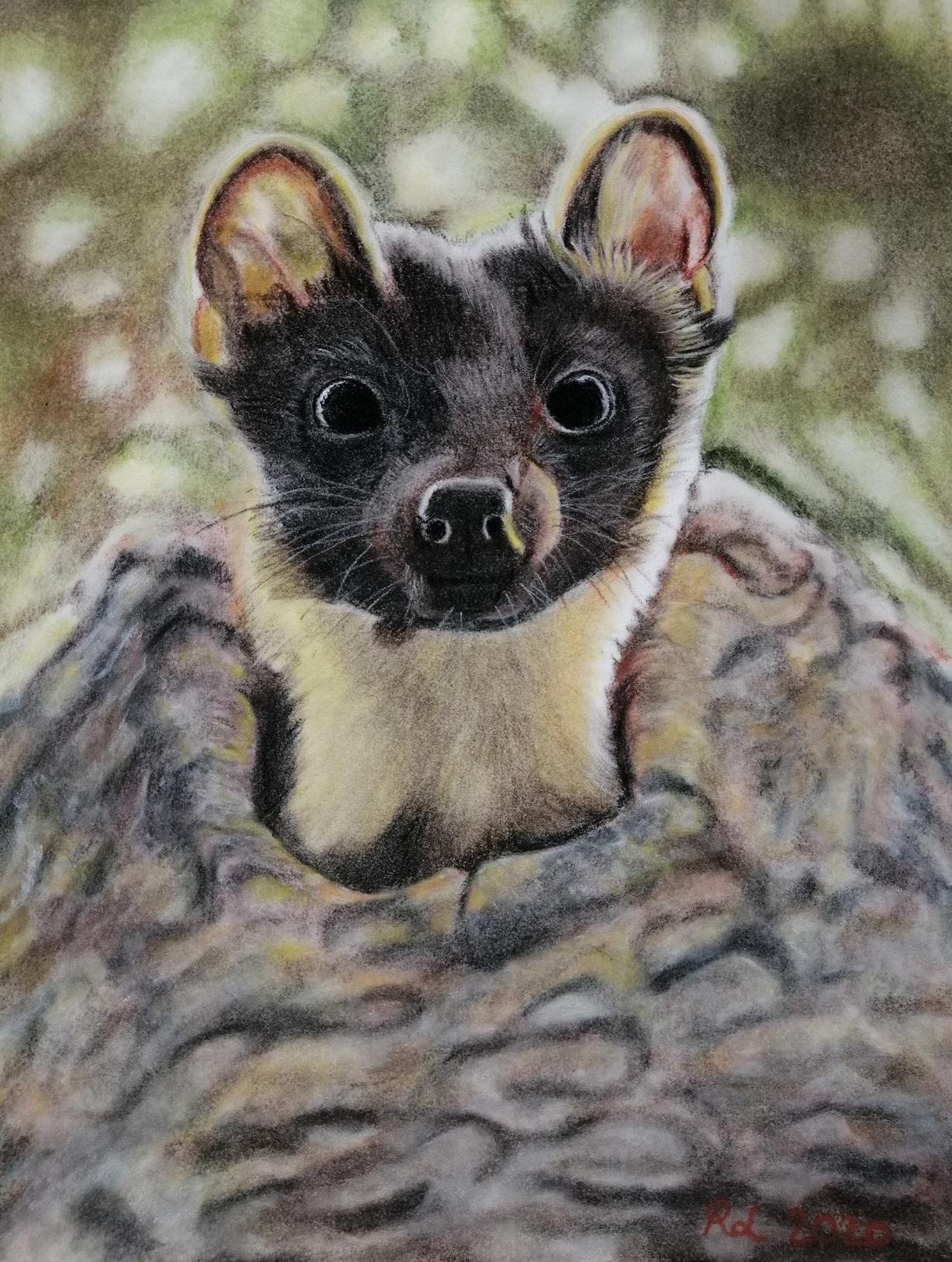 Top per chiaroscuro