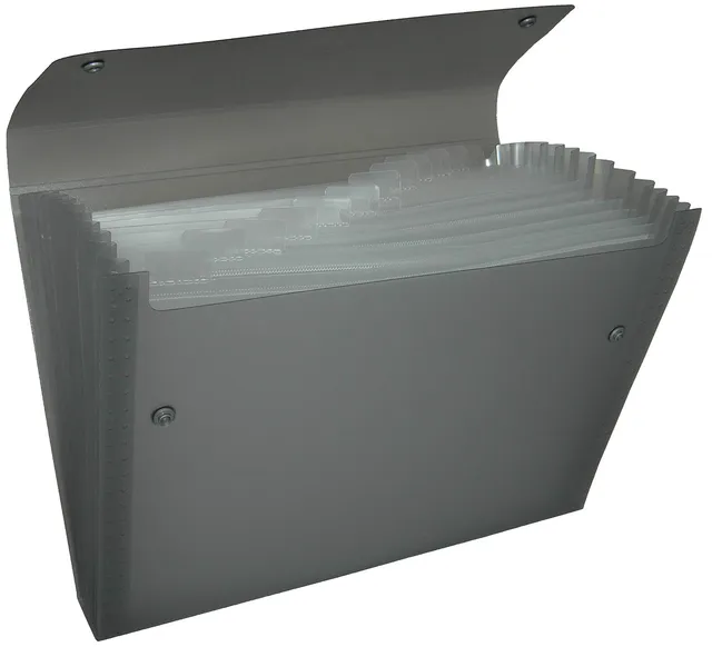 pentel-recycology-dcd14-portadocumenti-a4-nero-13-scomparti image 1