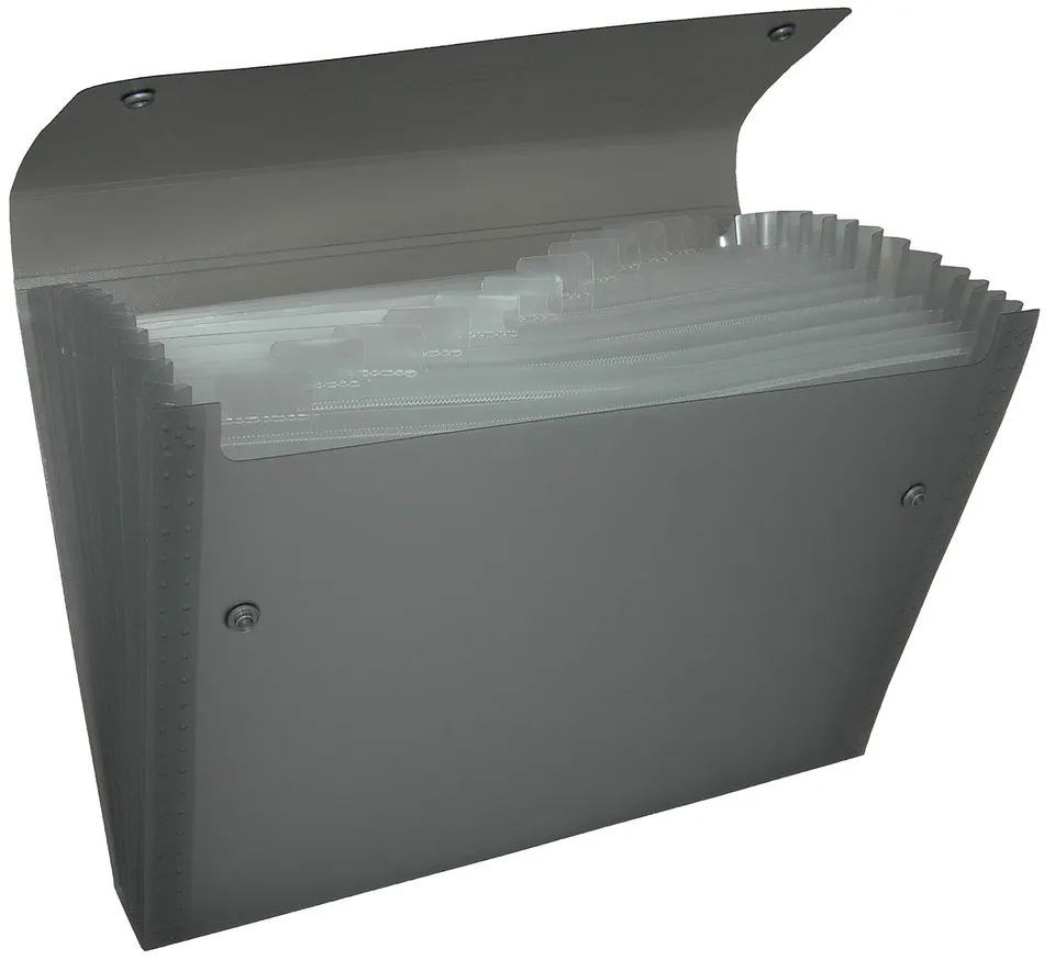 pentel-recycology-dcd14-portadocumenti-a4-nero-13-scomparti image 1