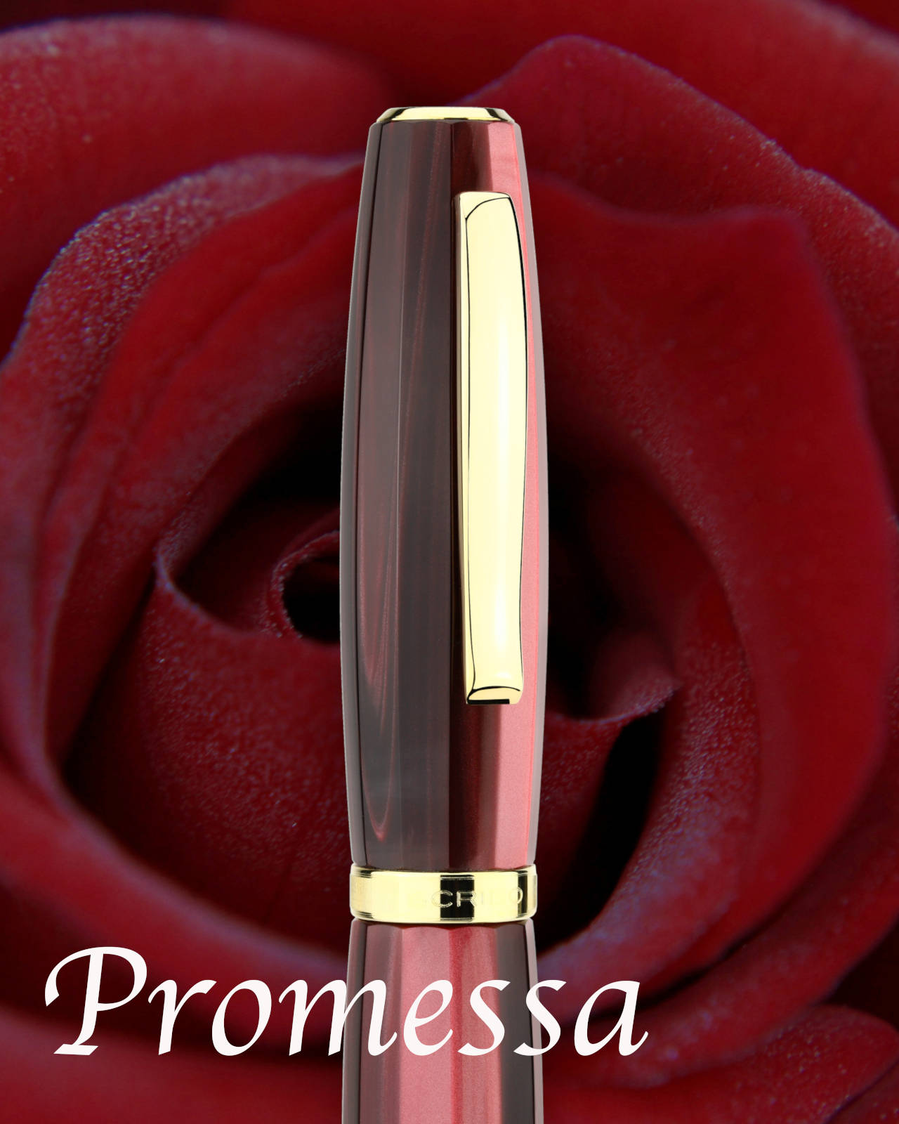 scribo-feel-promessa-stilografica-con-pennino-oro-18-kt image 3