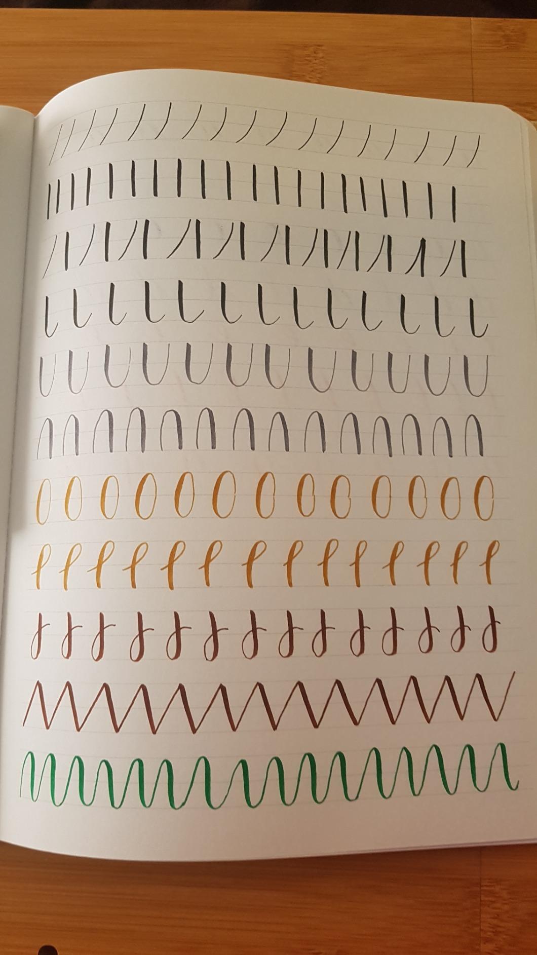 Ideali per iniziare il brush